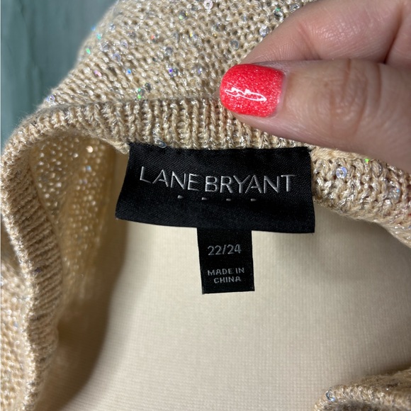 Lane Bryant Sparkling Beige Knit Sweater - Picture 3 of 3